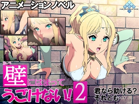 1x1.trans [130828] [ナイトホーク] 壁にはまってうごけない! 2